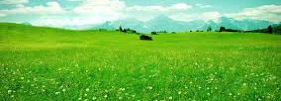 Kalp Trivedi Cover Image